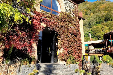 Adjara: Vineyard Tour with Wine Tasting and Lunch
