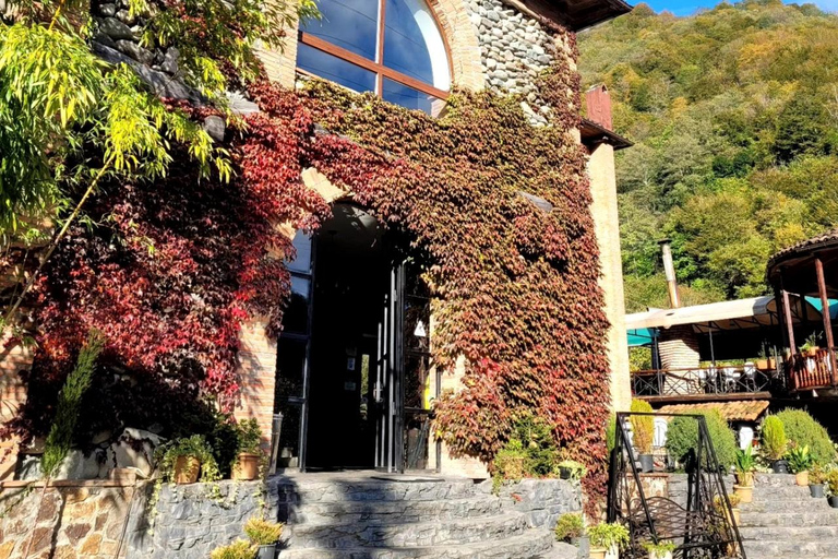 Adjara: Vineyard Tour with Wine Tasting and Lunch