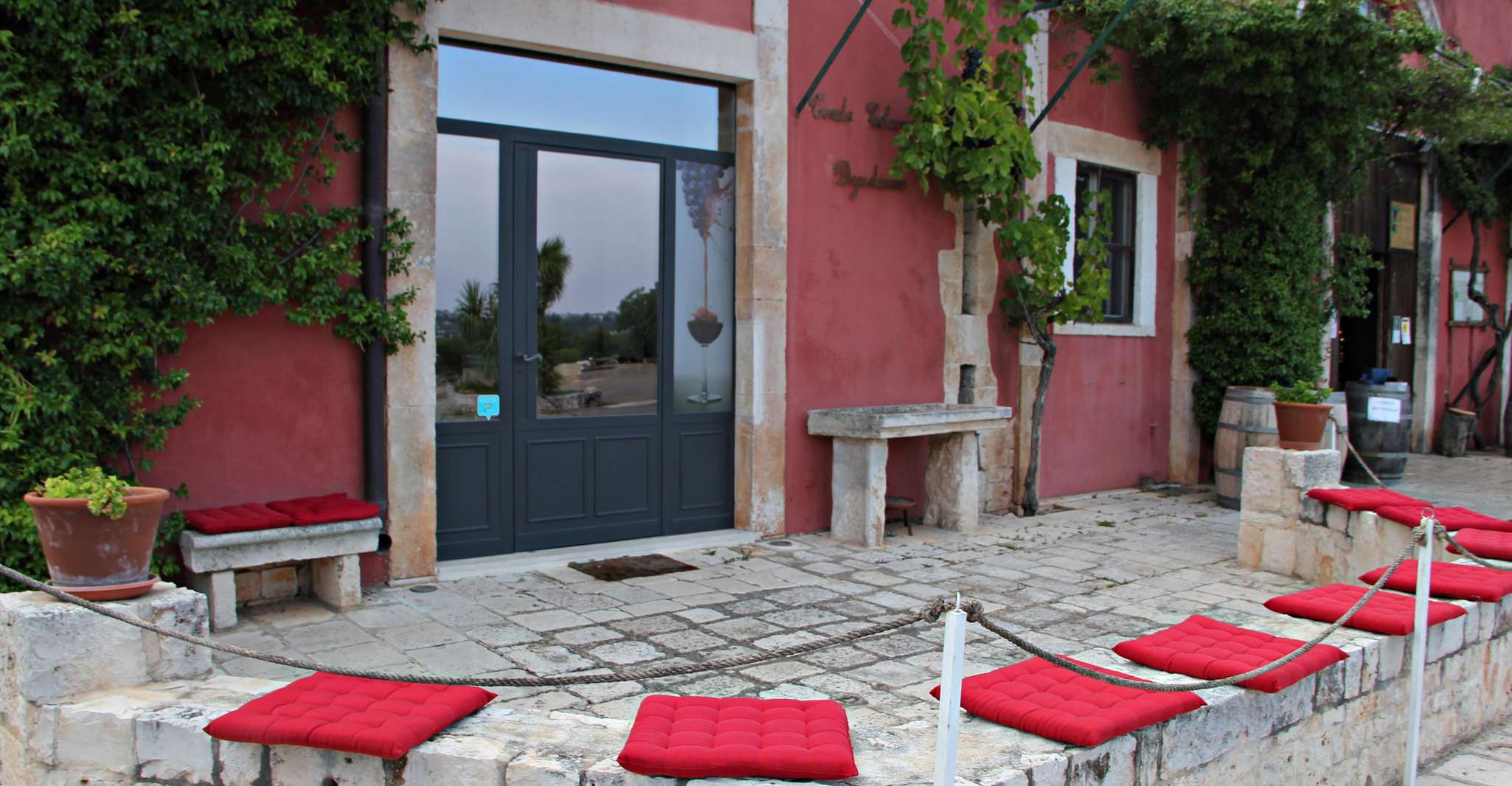 Degustazione di vini e tour della cantina
