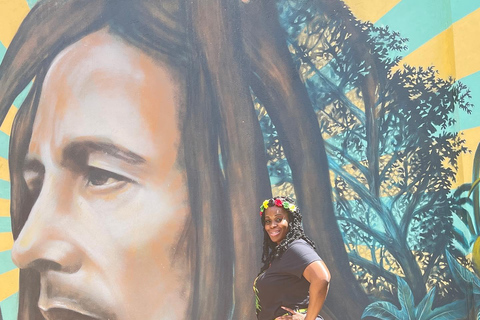 Bob Marley, Blue Hole, Secret Falls and Luminous Lagoon Tour From Montego Bay/ Falmouth/ Trelawny