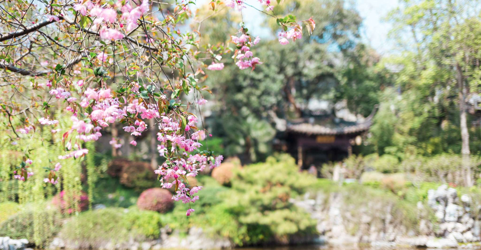 从上海,苏州私人 乘车全日全日旅行 - Hizvo