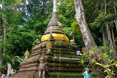 Chiang Mai: Doi Suthep, Wat Pha Lat & Sticky Waterfall TourChiang Mai: Doi Suthep-tempel en unieke kleverige waterval