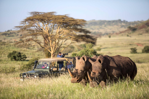 2Days Solio Ranch Luxury Safari on 4x4 Land Cruiser Jeep