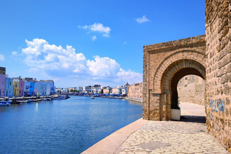 Hammamet: Bizerte Private Day Trip with Optional Lunch