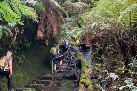 Beauty of the Blue Mountains Private Tour