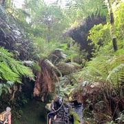 Beauty of the Blue Mountains Private Tour Beauty of the Blue Mountains Private Tour