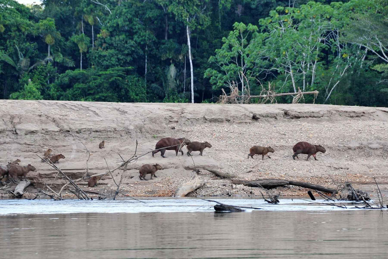 Reserva Nacional de Tambopata 4 Días