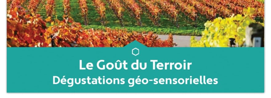 Reims : Dégustation pédagogique de 3 champagnes de vignerons