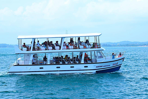 Mirissa: Whale Watching Cruise With Blue Whales & Dolphins