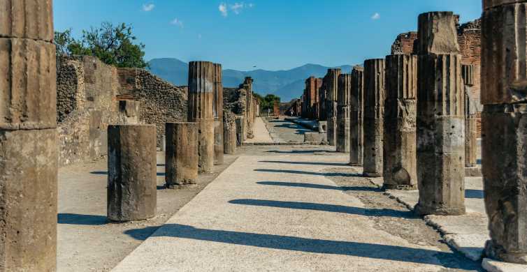 Pompéi : parc archéologique avec entrée coupe-file