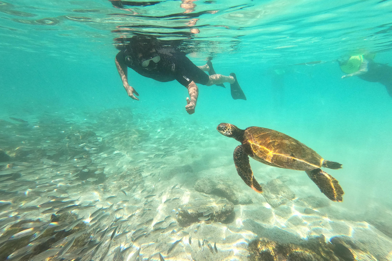 Desde Puerto Ayora: Pinzón y La Fé - Excursión completa de Snorkel