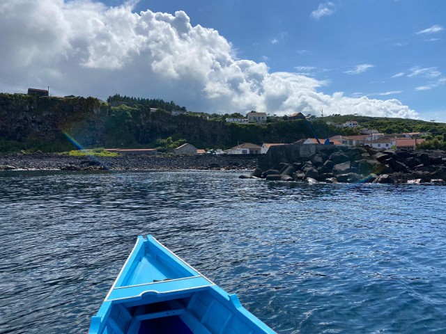 Visit Memória Baleeira - Unforgetable Ride in the waters of Pico in São Jorge Island