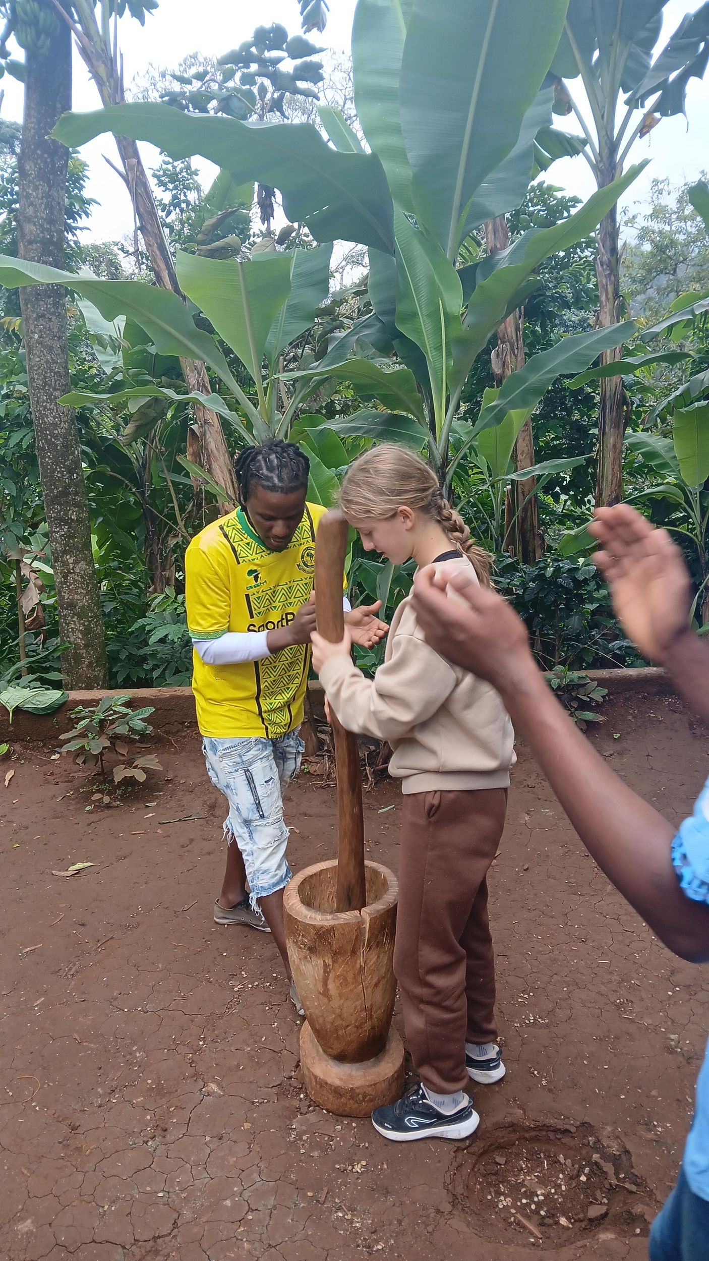 Moshi, Kilimandscharo: Materuni-Wasserfall, Kaffeetour & Mittagessen