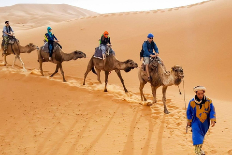 4-Day Private Desert Trip to Zagora & Merzouga From Agadir