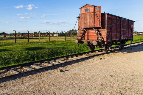 Vienna: Tour to Auschwitz Birkenau