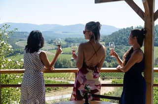 Florenz: Chianti-Weintour mit 3 Weingütern & toskanischem Mittagessen