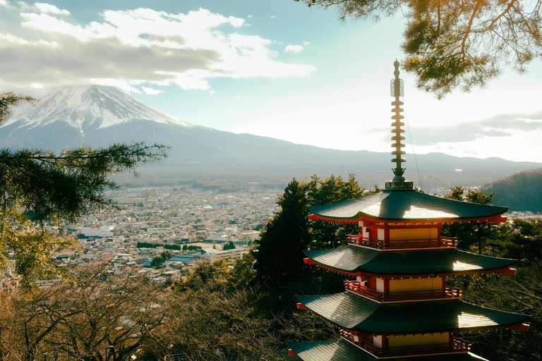 From Tokyo: Mount Fuji Full-Day Customizable & Private Tour Luxury MiniVan (1 upto 6)