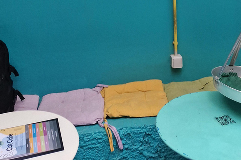 Atenas: visita a um café com gatos, com bebida e doceAtenas: Visita ao Cat Cafe com Drink and Sweet