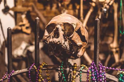 New Orleans: 2-Hour Haunted Cemetery and City Tour at Night