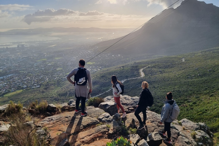 Tafelbergwandeling met gidsKaapstad: Tafelbergwandeling met gids