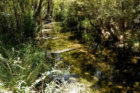 Det traditionella AlgarveTraditionella Algarve