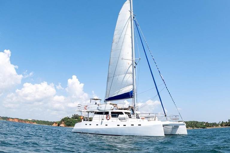 Mirissa: pesca privata in yachtMirissa: pesca privata su uno yacht