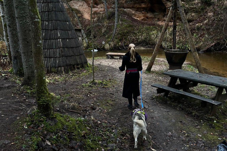 Riga: Huskywandeling in het natuurpad