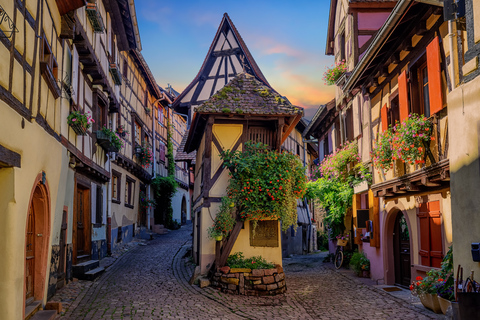 The 4 Wonders of Alsace Day Tour from Colmar