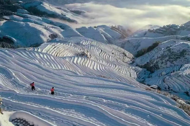 Longji Rice Terraces Flex Tour | Free Explore or Wide View Plan A: Longji Rice Terraces Self-Guided Day Trip