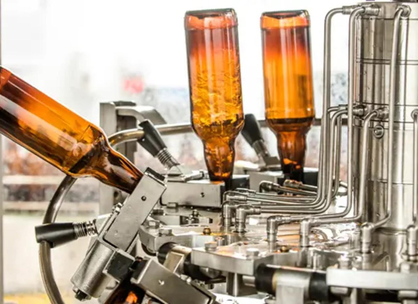 County Armagh: Tur fra blomst til flaske med smagning