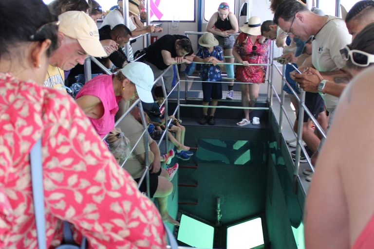 Miami to Key West Shuttle: Dolphin, Snorkeling & More Key West Shuttle with Glass Bottom Boat