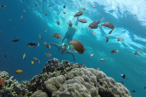 Cebu Moalboal Adventure Combo: Snorkel e canionismo +AlmoçoCebu: Passeio de mergulho com snorkel em Moalboal e canionismo nas Cataratas de Kawasan