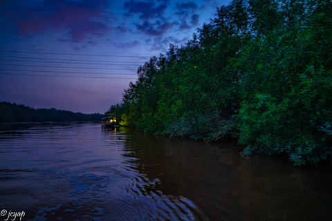Kuala Selangor: Eagles, Fireflies & Blue Tears Boat Tour