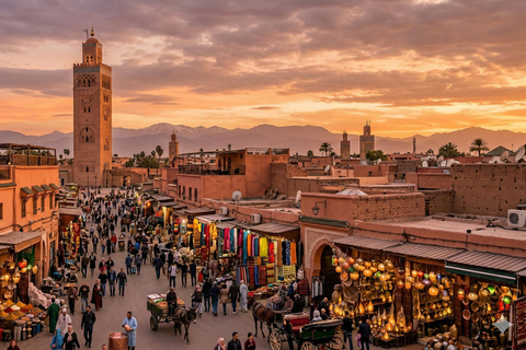 Marrakech: Medina Half-Day - Discover the City's History