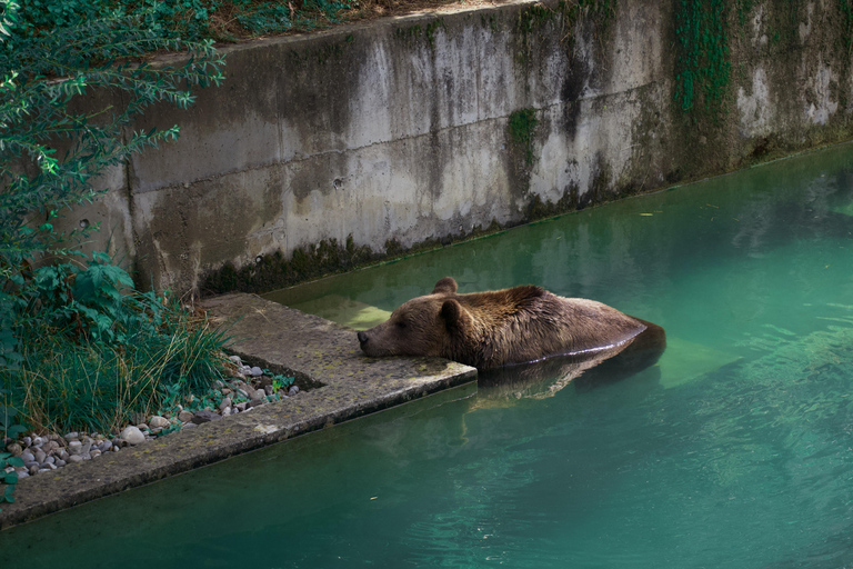 Brews &amp; Views – Rundgang durch die Berner Altstadt mit Craft Beer