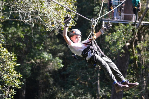 Magaliesberg: Ysterhout Gorge Zipline Crossing with Transfer