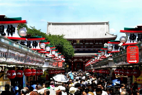 Tokyo: Private Full Day City Tour with English Driver