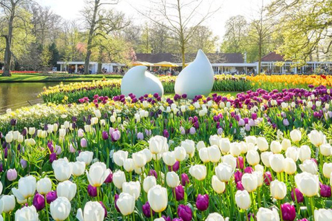 Keukenhof Special: Private Tulip & Insta Photo Experience Private Keukenhof and Tulip Fields Tour