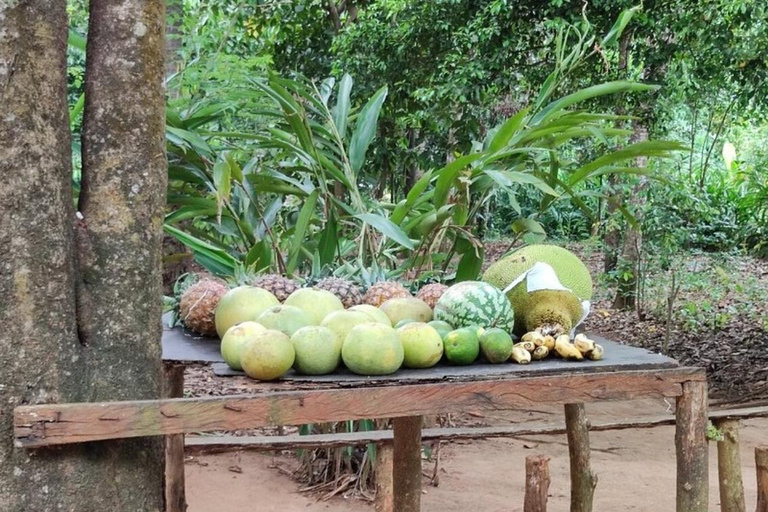 Zanzibar: tour delle piantagioni di spezie, Prison Island con giro in barcaTour privato con servizio di prelievo e rientro in hotel incluso