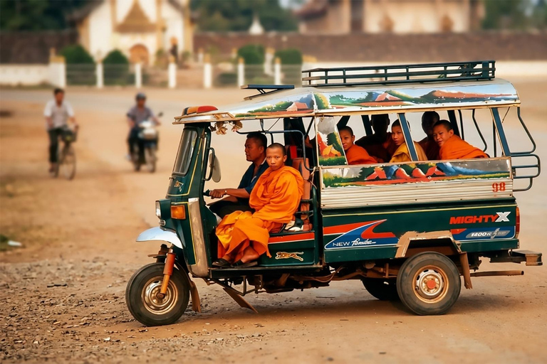 Private Tuk-Tuk Tour with Buddha Park & Coffee Tasting