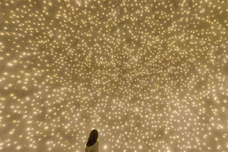 Abu Dhabi: teamLab Phenomena Entry Ticket