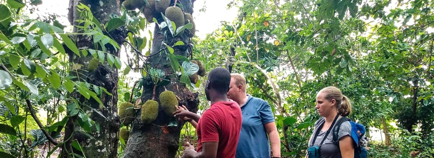 Zanzibar : visite des épices et cours de cuisine
