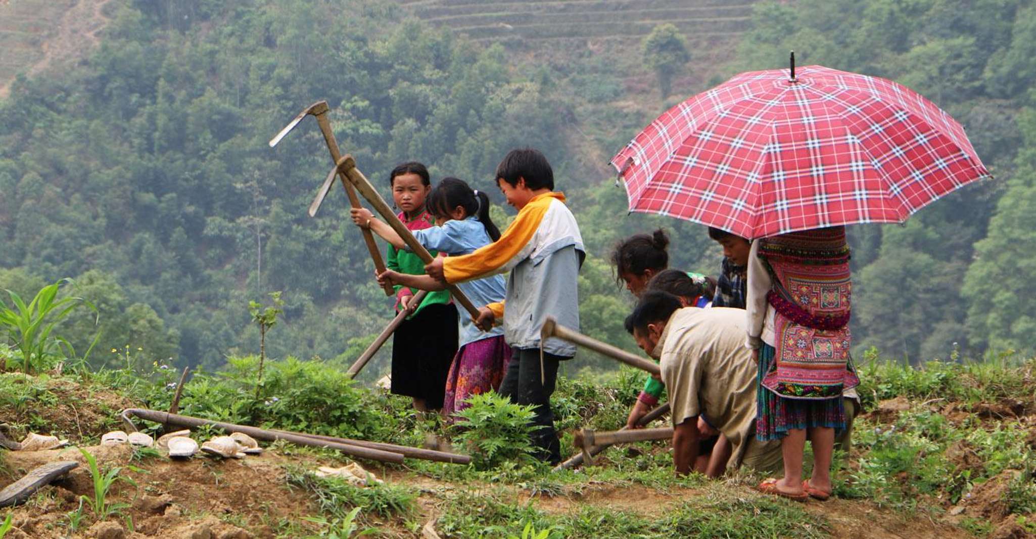 Day Trek Adventure With Local Guides - Housity