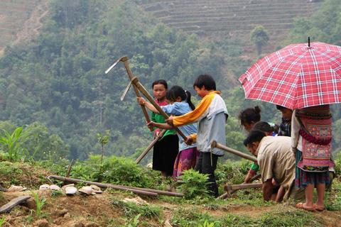 Trekking à la découverte de Sapa avec hébergement culturel en option