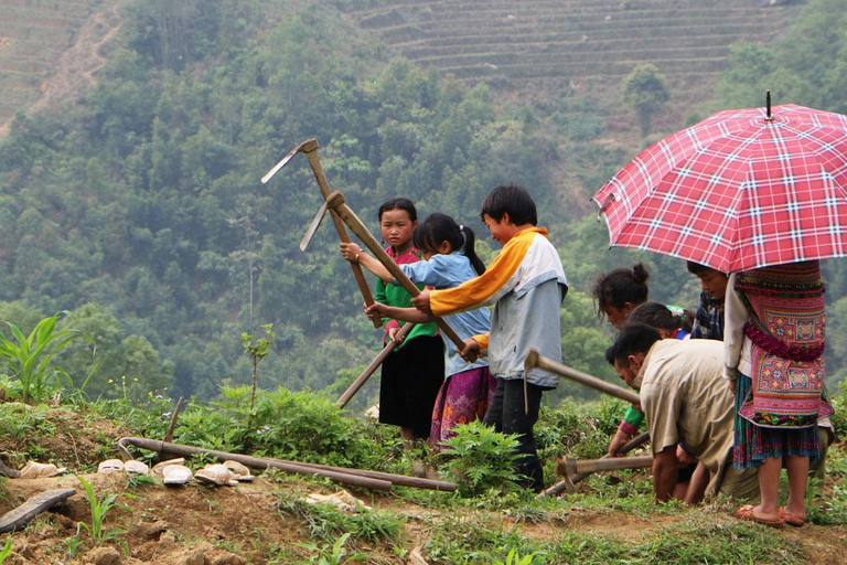 Trekking à la découverte de Sapa avec hébergement culturel en option