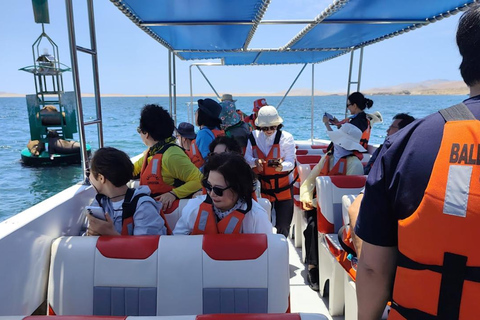Sunrise in Paracas: Private Sailing to Ballestas Islands Sunrise in Paracas: Private Sailing to the Ballestas Islands