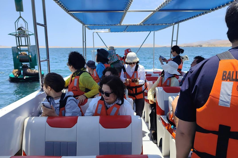 Sunrise in Paracas: Private Sailing to Ballestas Islands Sunrise in Paracas: Private Sailing to the Ballestas Islands