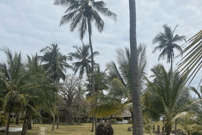 Mombasa: stadsvandring, matupplevelse, kulturell rundtur