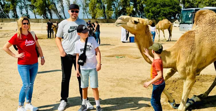 Amazing Bahrain Shared Tour (For MSC Euribia Tourists) 7H photo 7