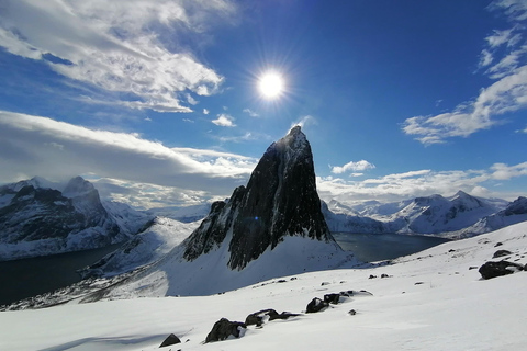 特罗姆瑟：正宗塞尼亚岛一日旅行（含午餐）